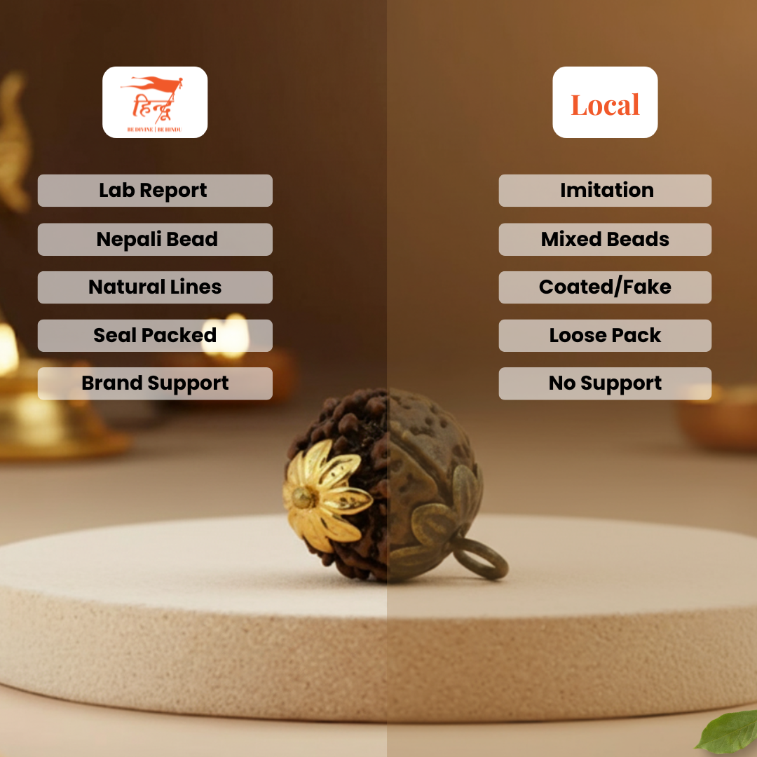 Rudraksha Beads 7 Mukhi with Caping
